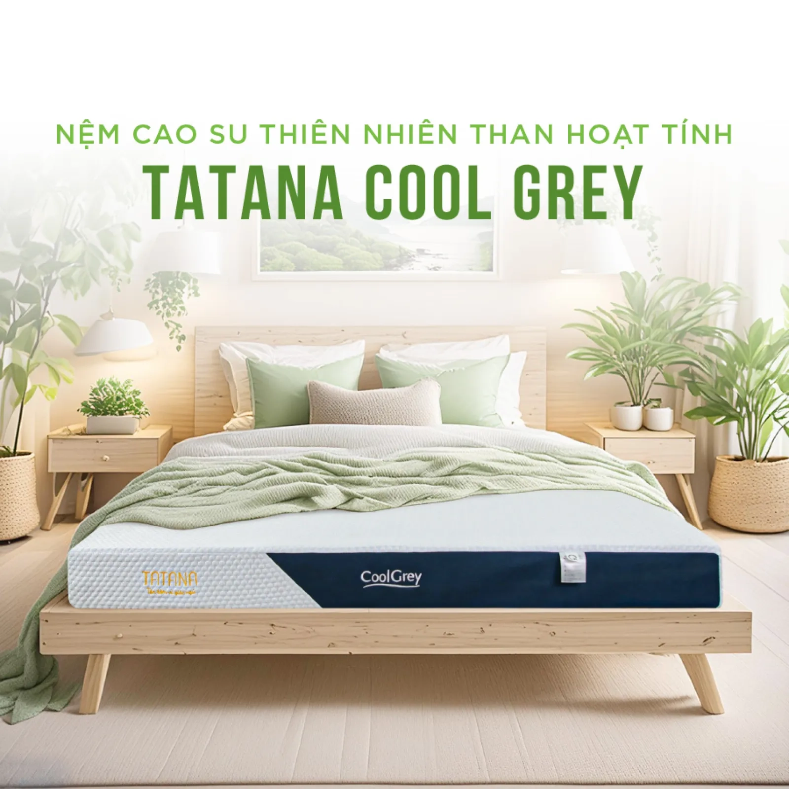 Ảnh sản phẩm Nệm cao su thiên nhiên than hoạt tính Tatana Cool Grey